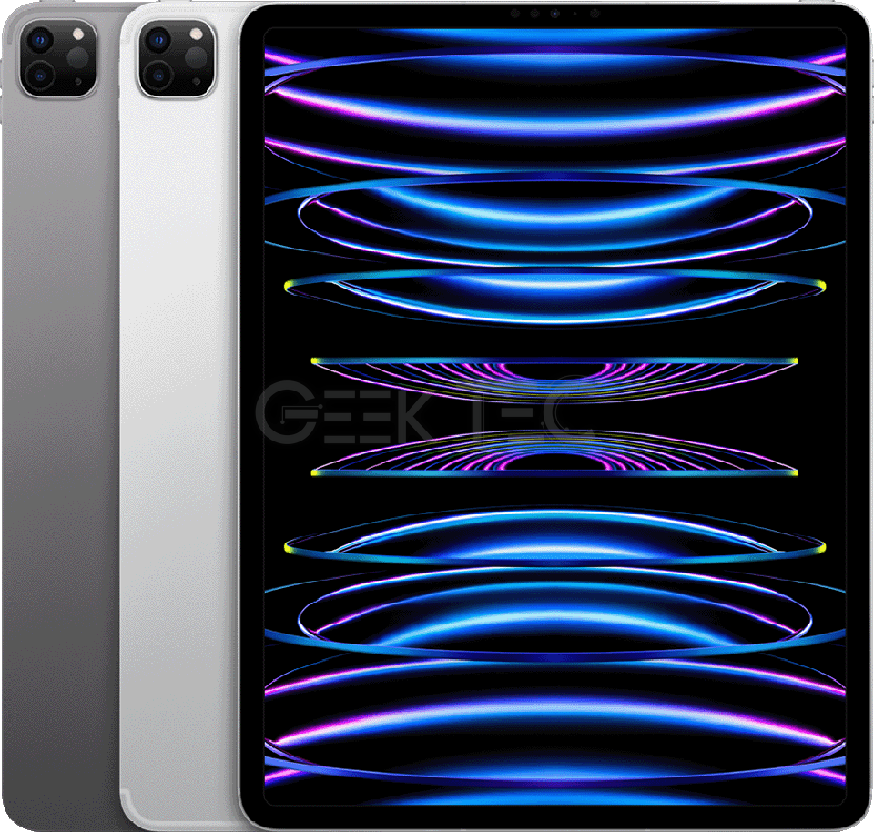 Apple iPad Pro 11 pouces (2021) 128 GB WIFI + CELLULAIRE
